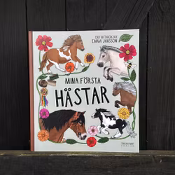Bok: Mina första hästar