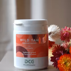 DCG Wild Yam 240 kapslar