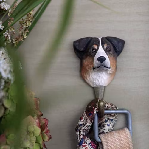 Handsnidad krok- Australian Shepherd