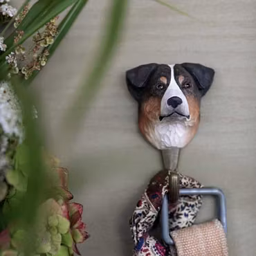 Handsnidad krok- Australian Shepherd