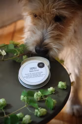 HUMLE  Raska tassar - Nordens bästa tassalva till hund!