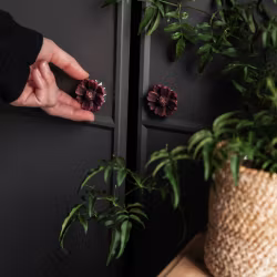 Knopp – Chokladblomma