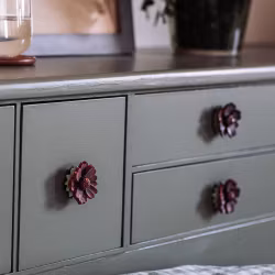 Knopp – Chokladblomma