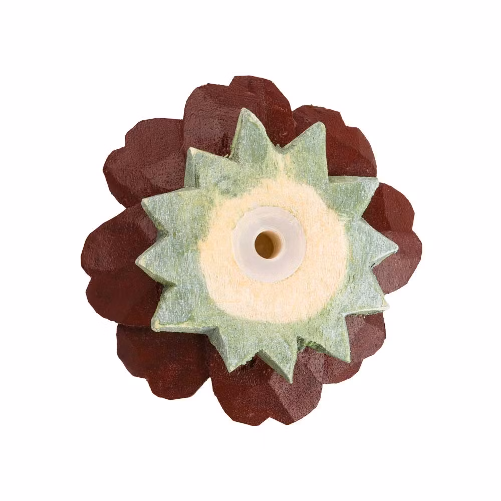 Knopp – Chokladblomma