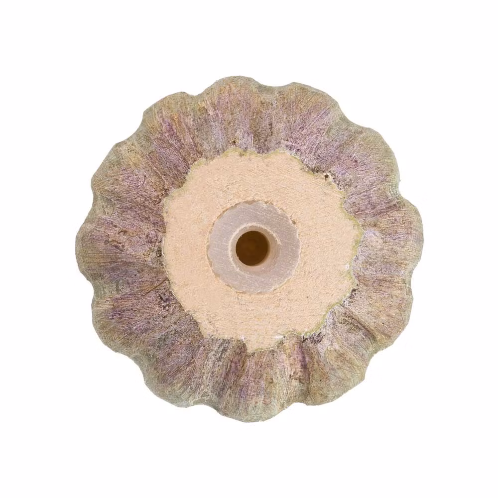 Knopp – Vallmo frökapsel