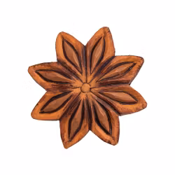 Knopp –Stjärnanis