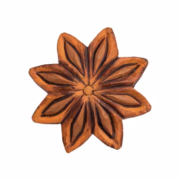 Knopp –Stjärnanis