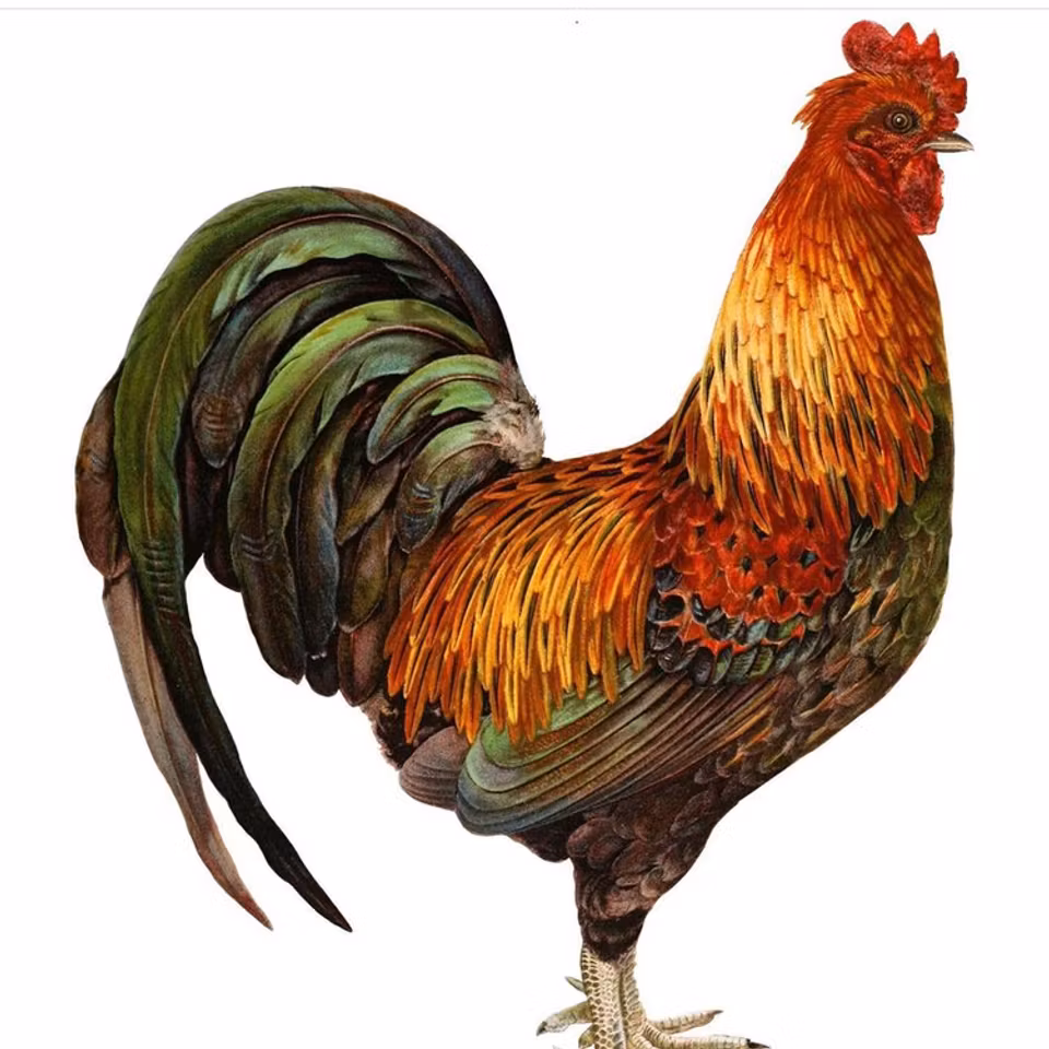 Blomsterkassen - bred botten