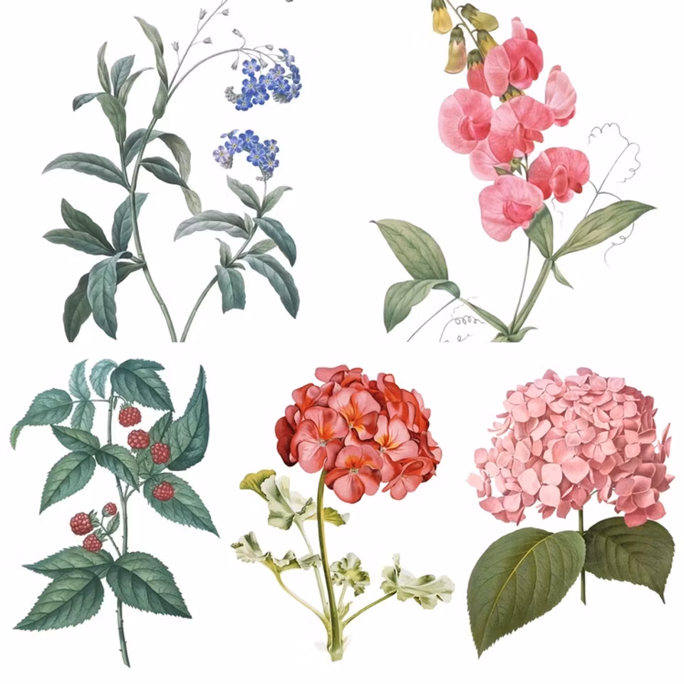 Blomsterkassen - bred botten