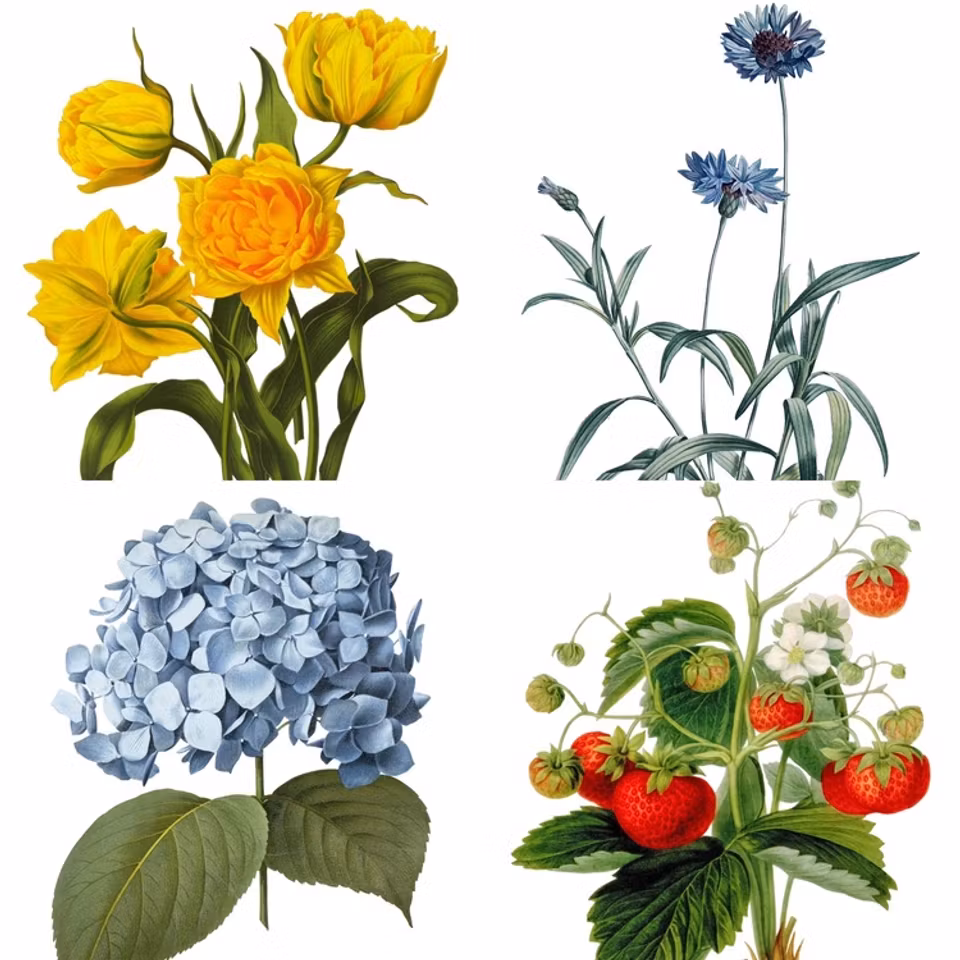 Blomsterkassen - bred botten