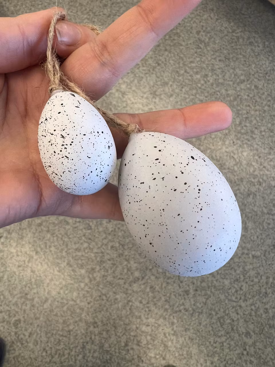 SELMA hängande ägg 2stl