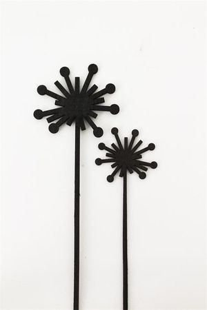 Sticks -daisy