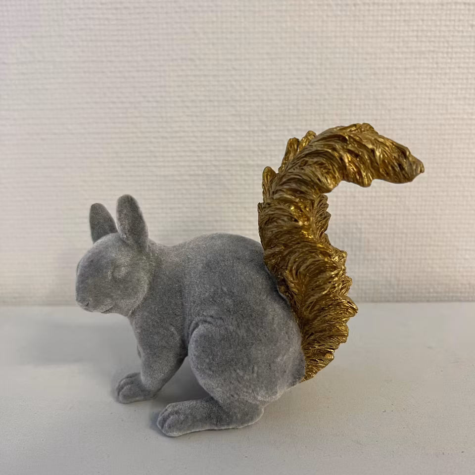 Ekorre med guld svans