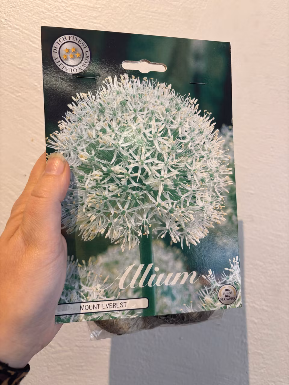 Alliumlökar