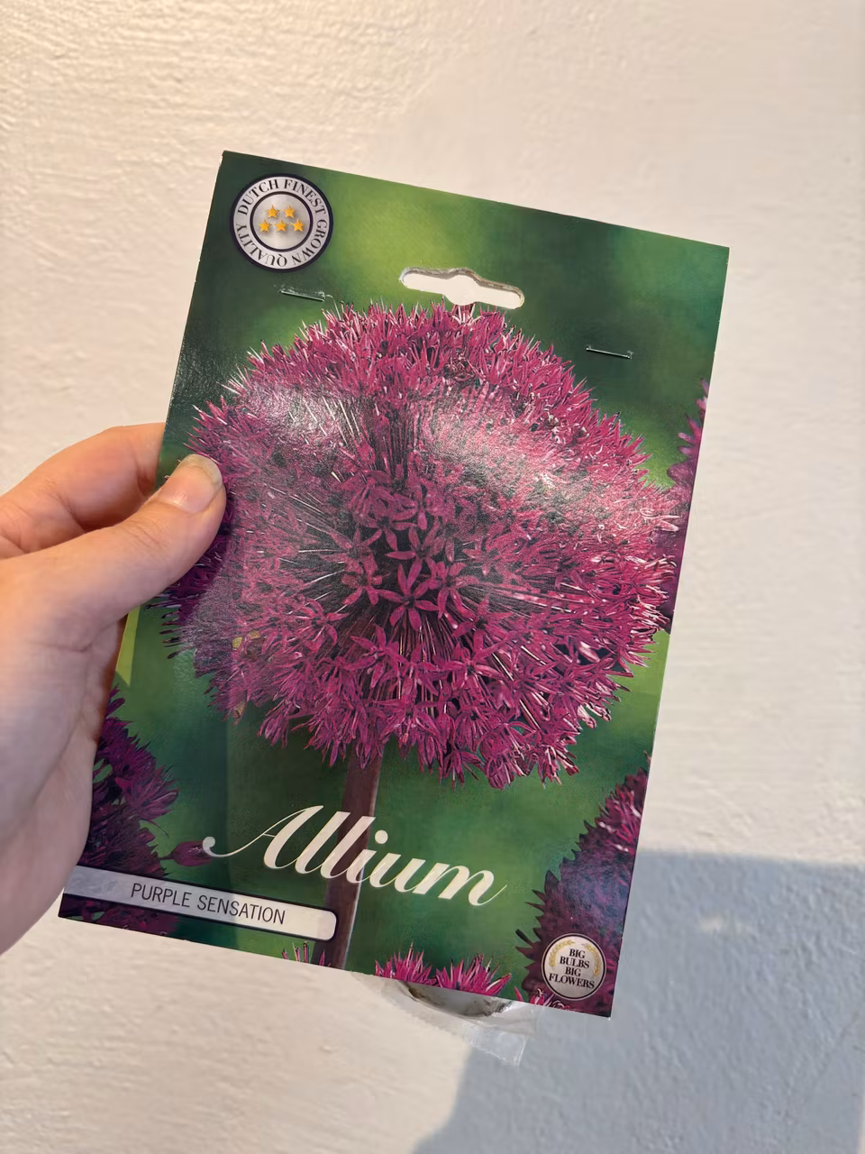 Alliumlökar