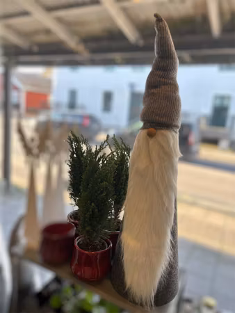 STOR TOMTE