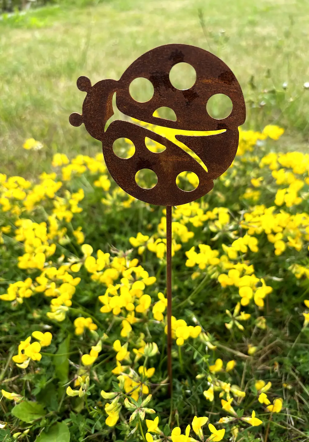 Rostig nyckelpiga - stix