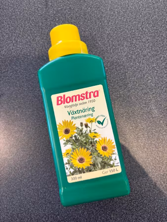Blomstra Näring
