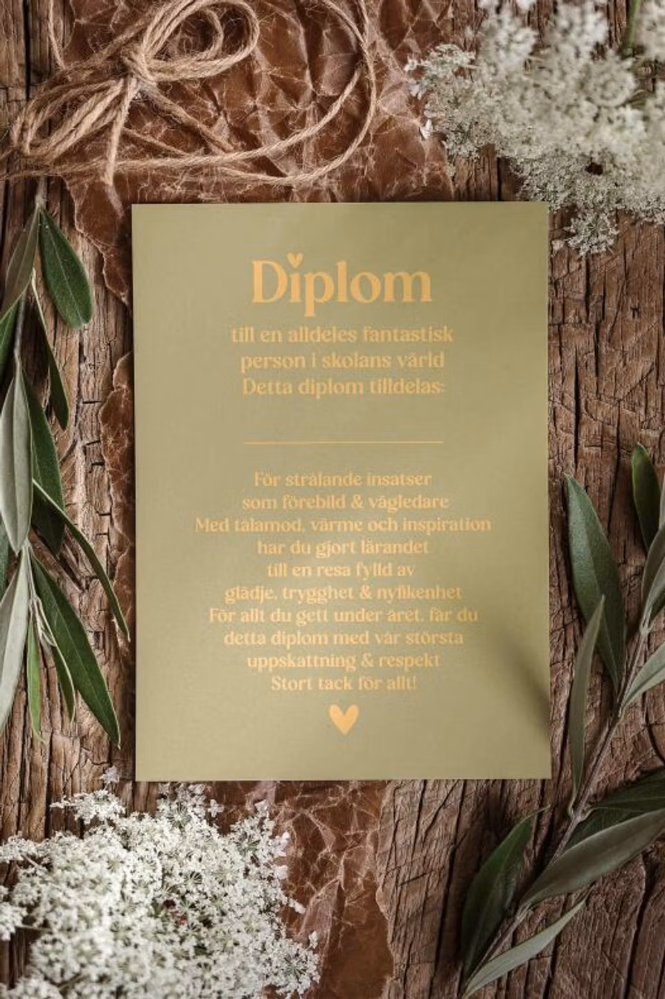 Diplom - fantastisk person i skolans värld