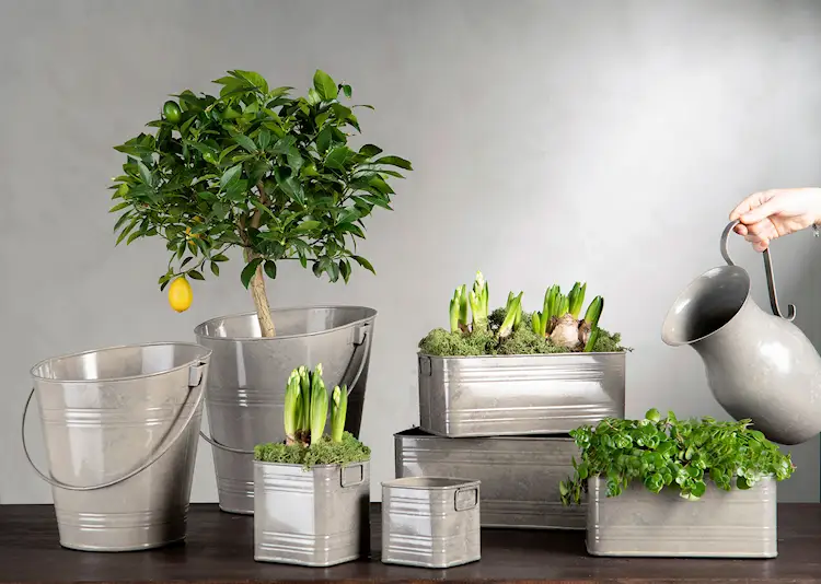 Kruka: Kvadrat Greige