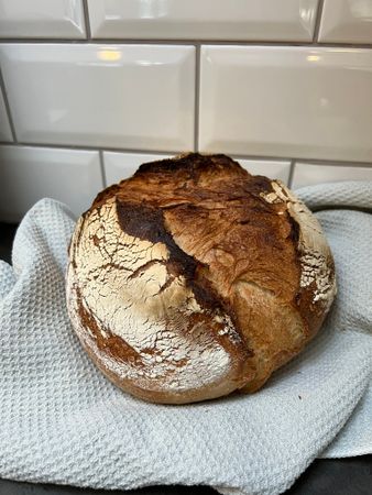 Norrländsk vetesur (limpa)