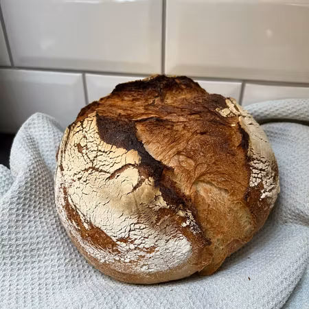 Norrländsk vetesur (limpa)