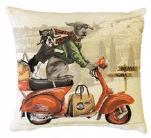 Kudde röd scooter körs av Weimaraner & Boston terrier  45x45