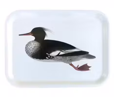 Liten Bricka Måseskär Skrak