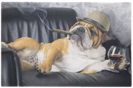 Dörrmatta Bulldog