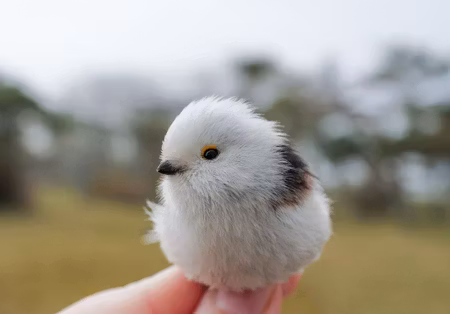 Fågelfadder till stjärtmes