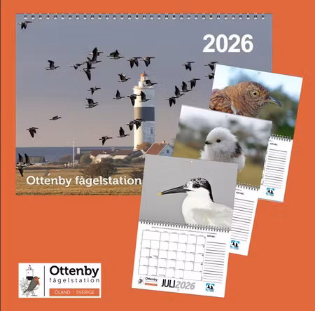 Ottenbykalender 2026