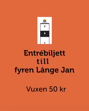 Entrébiljett Långe Jan Vuxen