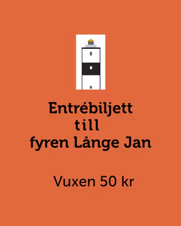 Entrébiljett Långe Jan Vuxen