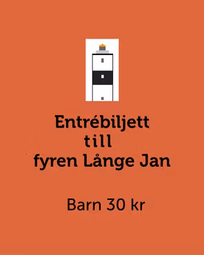 Entrébiljett Långe Jan Barn