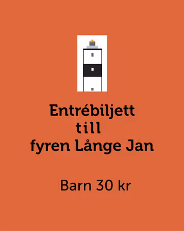 Entrébiljett Långe Jan Barn