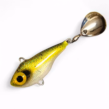 Spintail - Nors