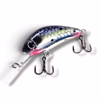 Salmo Hornet DD 50mm