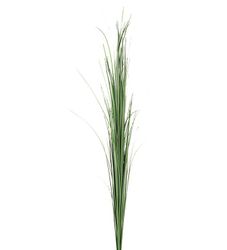 Gräs Grönt