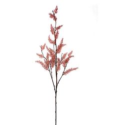 Eucalyptus 4503-21