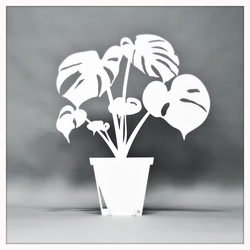 Monstera vit 46 cm