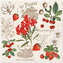 Summer fruits servett