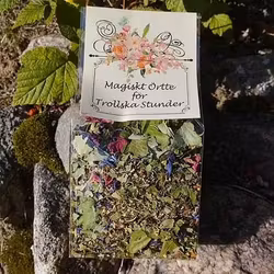 Magiskt te för trollska stunder. Örtte med björk