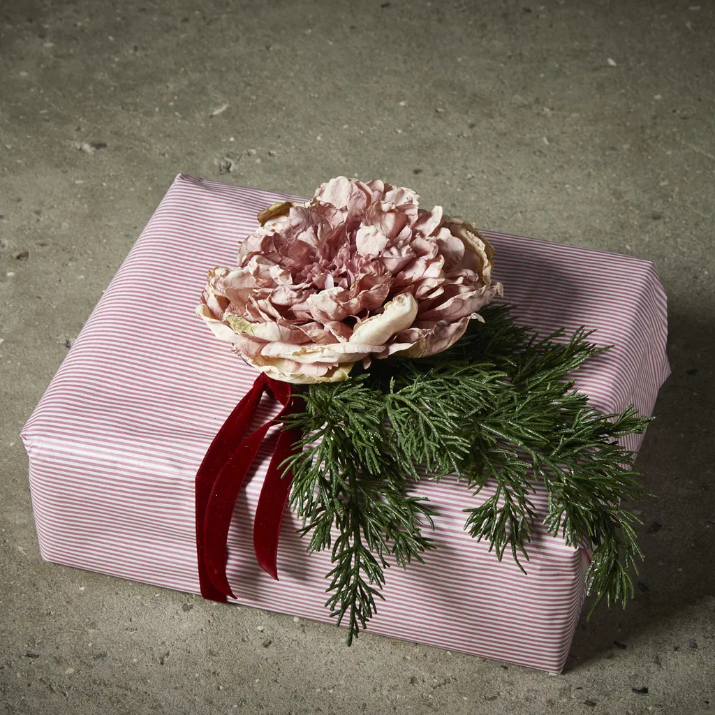 Blomma Pionblomhuvud