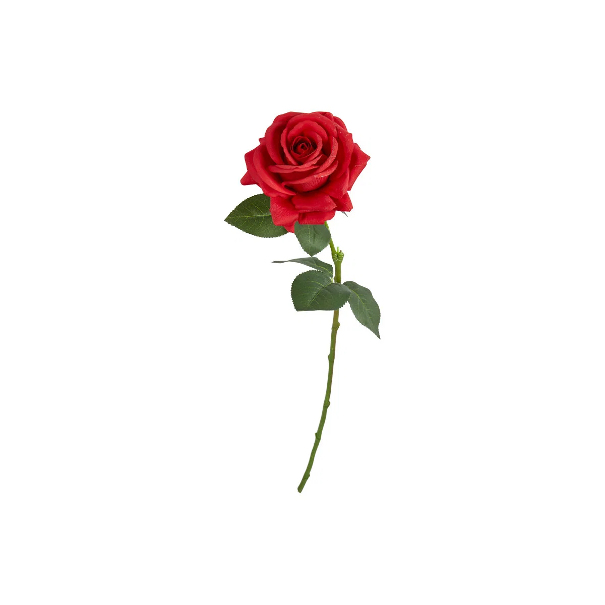 Speedsberg Rose Spray 64cm