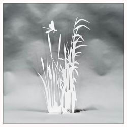 Vass Vit