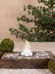 Harald Tomte beige – Storefactory