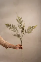 Ormbunksblad, grön 90 cm Mr Plant