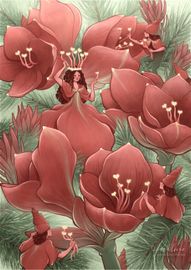 Juleblomstenes dronning