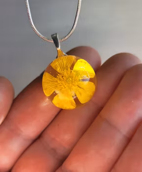Smörblomma