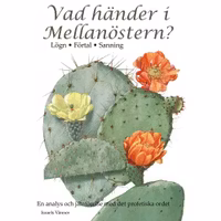 Vad händer i Mellanöstern?